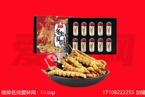 红河州蒙自回收虫草.jpg
